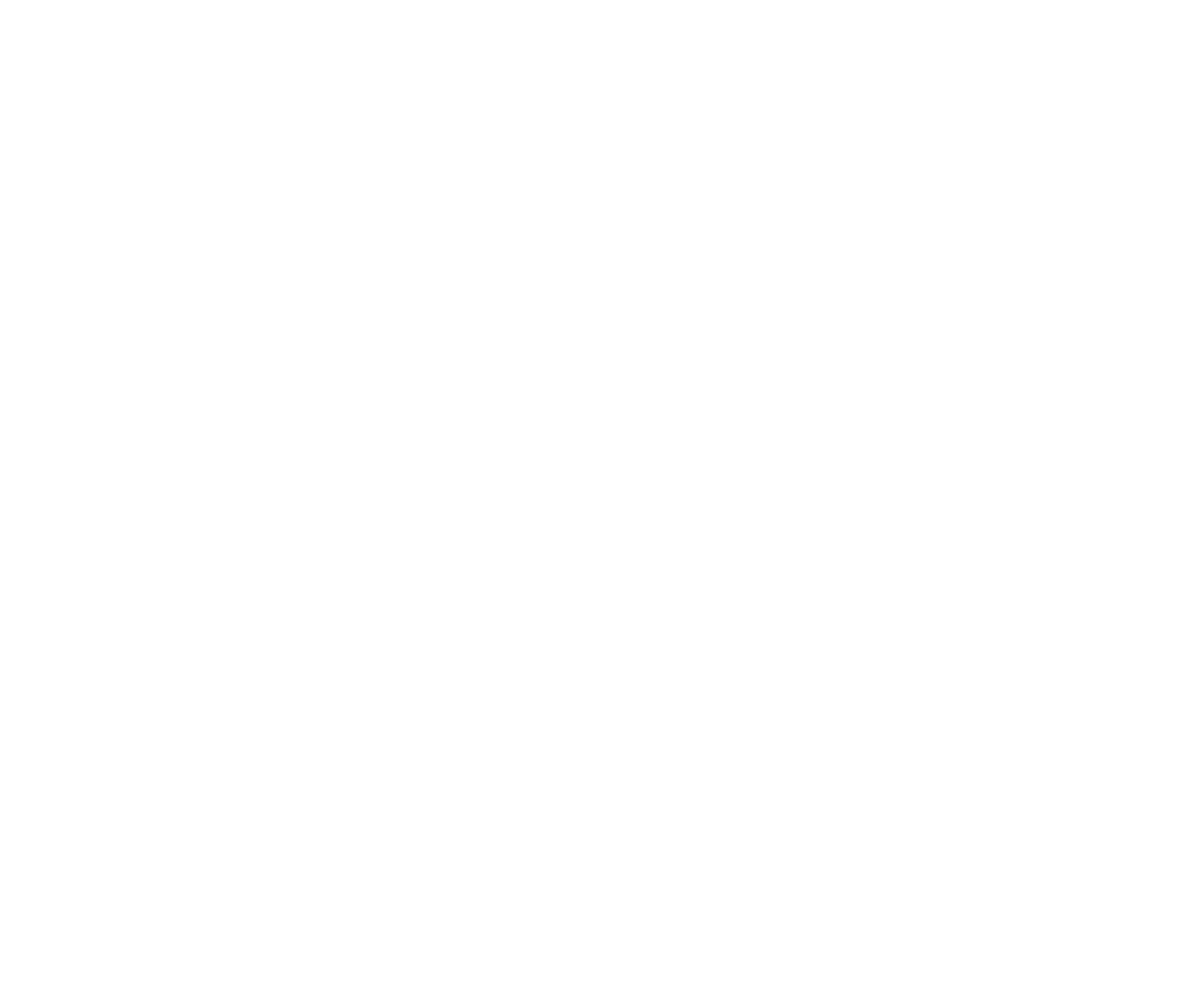 HZ Participações